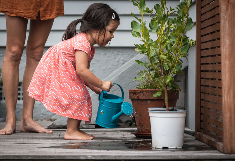 Image of a child watering a plant using a watering can